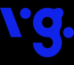 Vg